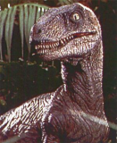 Clever girl: One of the Velociraptors from Jurassic Park.